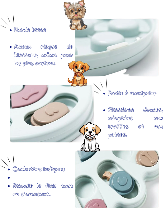 Jeu d’Intelligence pour Chien