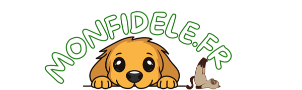 Monfidele.fr