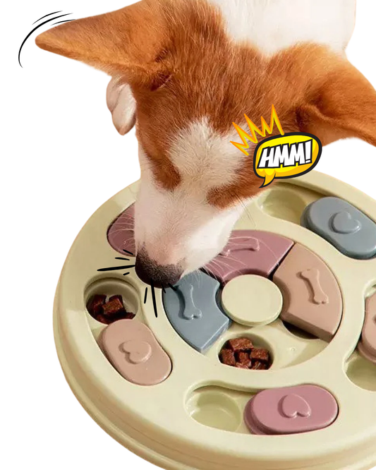 Jeu d’Intelligence pour Chien