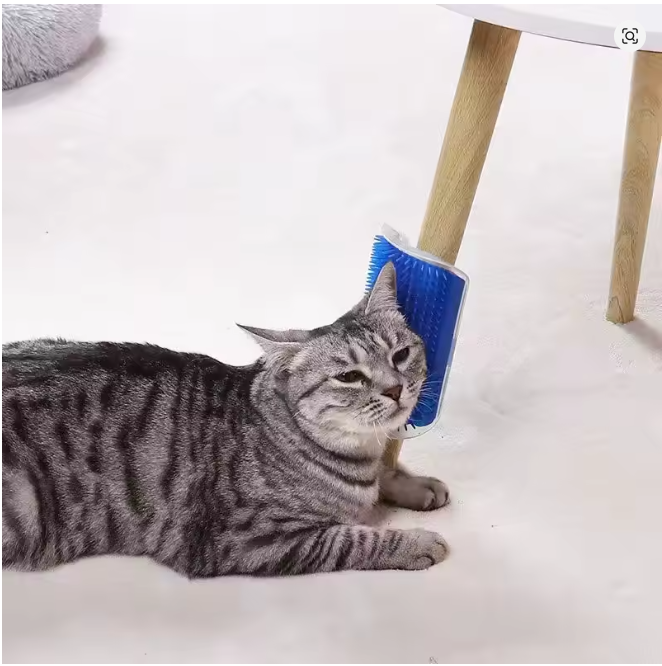 Brosse Murale Auto-Nettoyante pour animaux